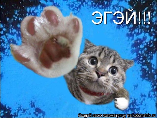 Котоматрица: ЭГЭЙ!!!