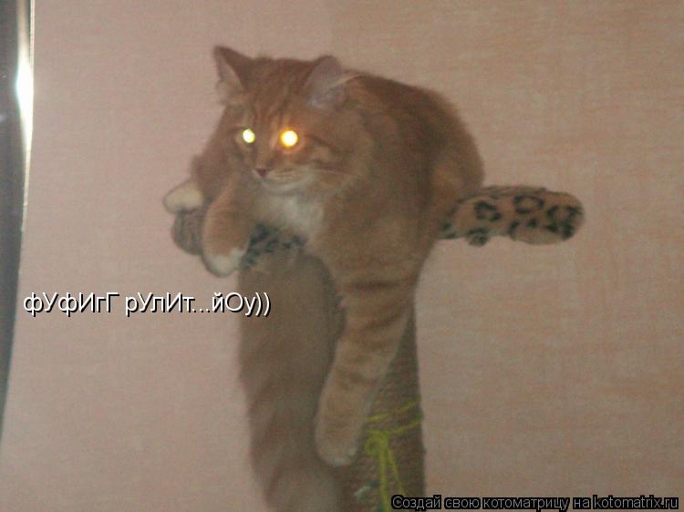 Котоматрица: фУфИгГ рУлИт...йОу))