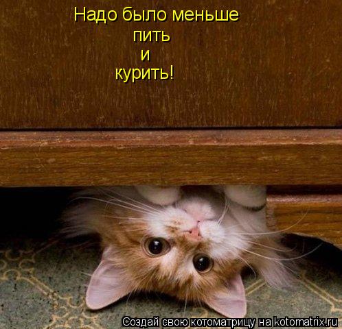 Котоматрица: Надо было меньше пить  и курить!