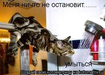 Котоматрица: Меня ничто не остановит....... .....умыться