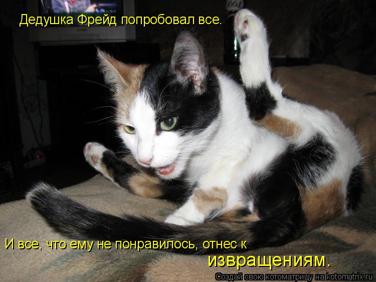 Дедушка Фрейд попробовал все. И все, что ему не понравилось, отнес к извращениям.... Котоматрица: Дедушка Фрейд попробовал все. И все, что ему не понравилось, отнес к извращениям.