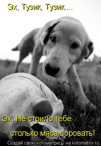 Эх, Тузик, Тузик.... Эх, Не стоило тебе столько мяса воровать!... Котоматрица: Эх, Тузик, Тузик.... Эх, Не стоило тебе столько мяса воровать!