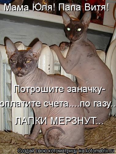 Котоматрица: Мама Юля! Папа Витя! Потрошите заначку- оплатите счета....по газу... ЛАПКИ МЕРЗНУТ...