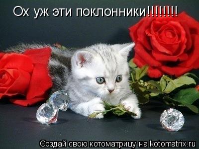 Котоматрица: Ох уж эти поклонники!!!!!!!!