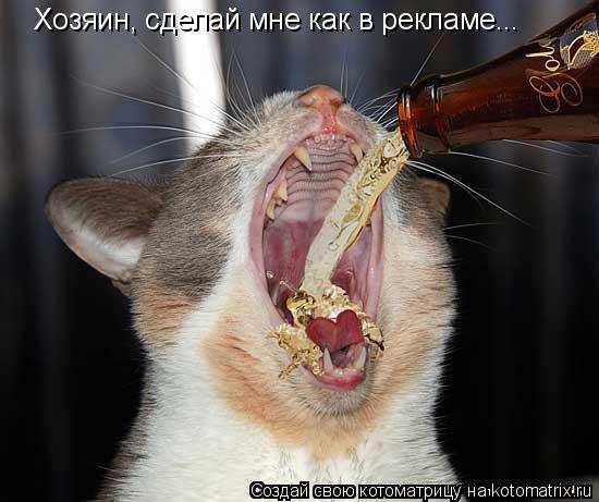 Хозяин, сделай мне как в рекламе...... Котоматрица: Хозяин, сделай мне как в рекламе...