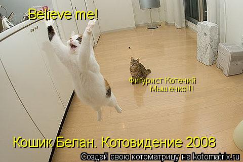 Believe me! Кошик Белан. Котовидение 2008 Фигурист Котений Мышенко!!!... Котоматрица: Believe me! Кошик Белан. Котовидение 2008 Фигурист Котений Мышенко!!!