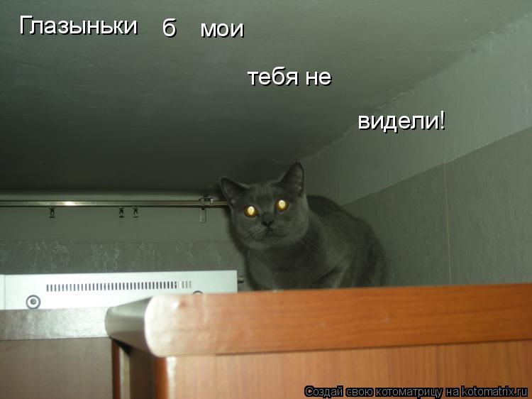 Глазыньки б мои тебя не видели!... Котоматрица: Глазыньки б мои тебя не видели!
