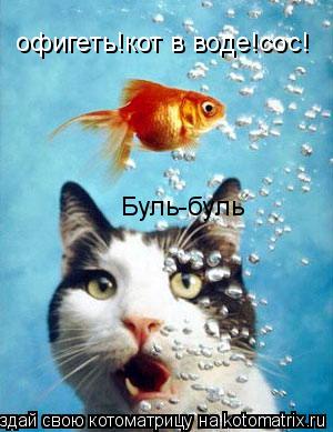 офигеть!кот в воде!сос! Буль-буль... Котоматрица: офигеть!кот в воде!сос! Буль-буль