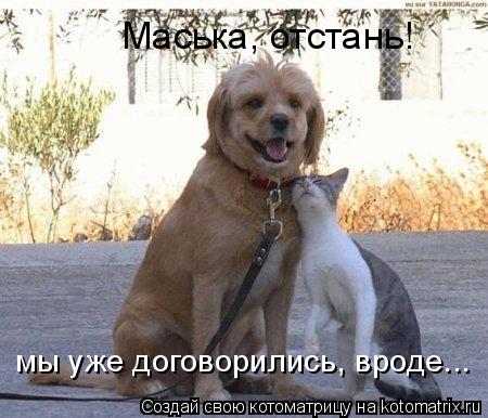 Котоматрица: Маська, отстань! мы уже договорились, вроде...