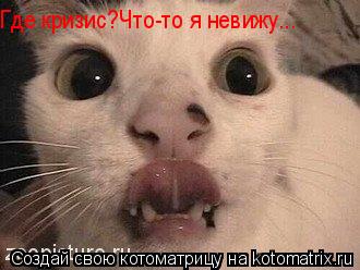 Котоматрица: Где кризис?Что-то я невижу...