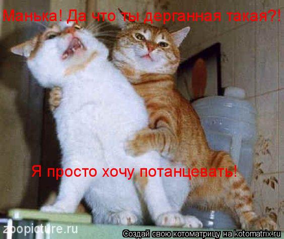 Котоматрица: Манька! Да что ты дерганная такая?! Я просто хочу потанцевать!