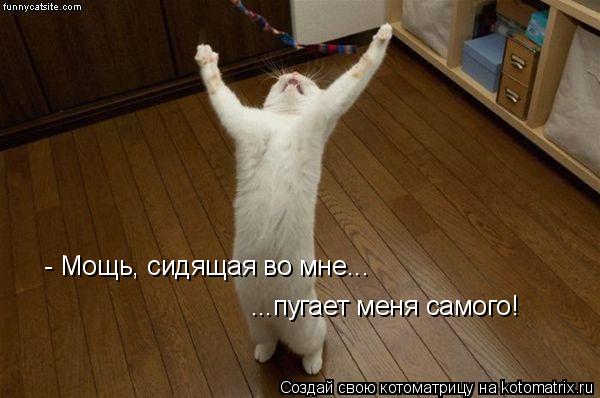 Котоматрица: - Мощь, сидящая во мне... ...пугает меня самого!