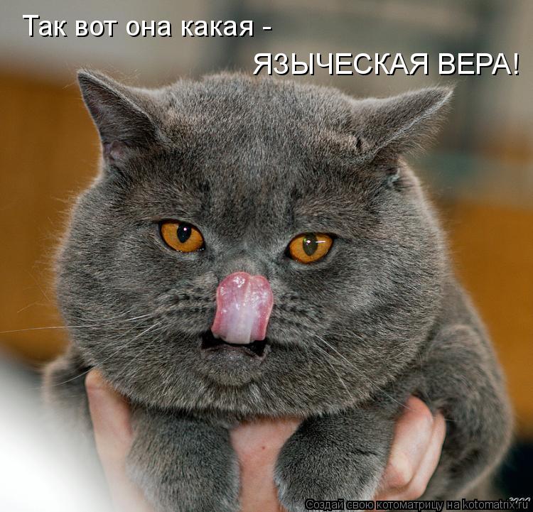 Котоматрица: Так вот она какая - ЯЗЫЧЕСКАЯ ВЕРА!