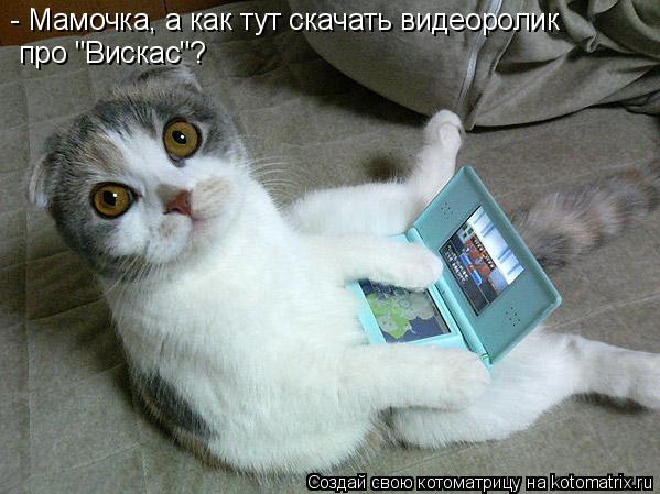 Котоматрица: - Мамочка, а как тут скачать видеоролик про "Вискас"?
