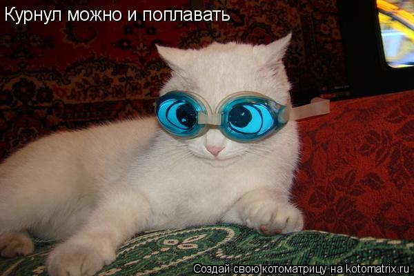 Котоматрица: Курнул можно и поплавать