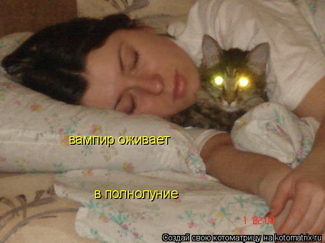 Котоматрица: вампир оживает в полнолуние