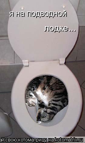 Котоматрица: я на подводной  лодке...