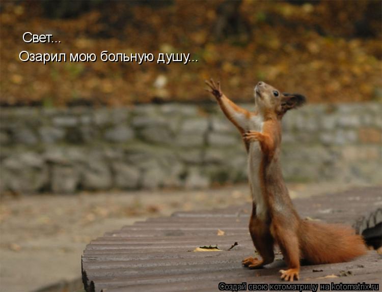 Котоматрица: Свет...  Озарил мою больную душу...