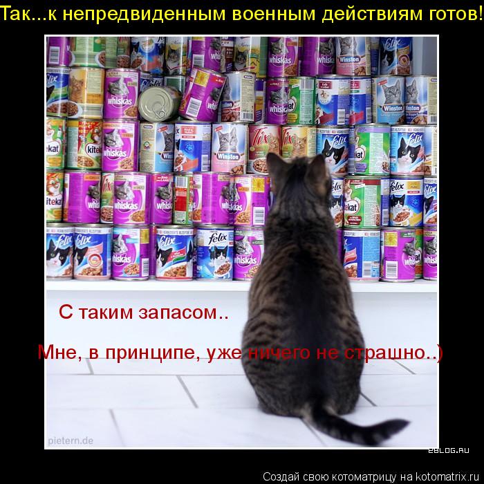 Котоматрица: Так...к непредвиденным военным действиям готов! С таким запасом.. Мне, в принципе, уже ничего не страшно..)