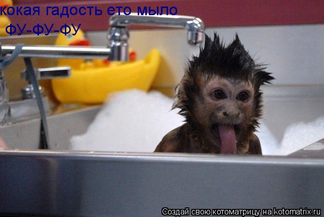 Котоматрица: кокая гадость ето мыло ФУ-ФУ-ФУ