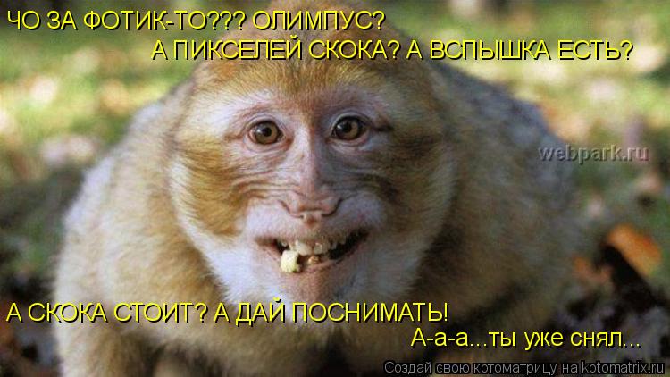 Котоматрица: ЧО ЗА ФОТИК-ТО??? ОЛИМПУС? А ПИКСЕЛЕЙ СКОКА? А ВСПЫШКА ЕСТЬ? А СКОКА СТОИТ? А ДАЙ ПОСНИМАТЬ!  А-а-а...ты уже снял...