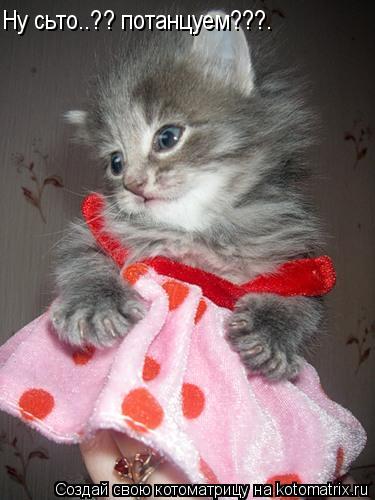 Котоматрица: Ну сьто..?? потанцуем???.