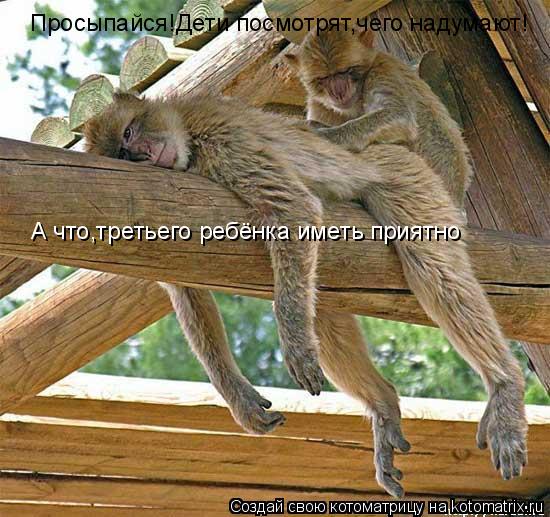 Котоматрица: Просыпайся!Дети посмотрят,чего надумают! А что,третьего ребёнка иметь приятно