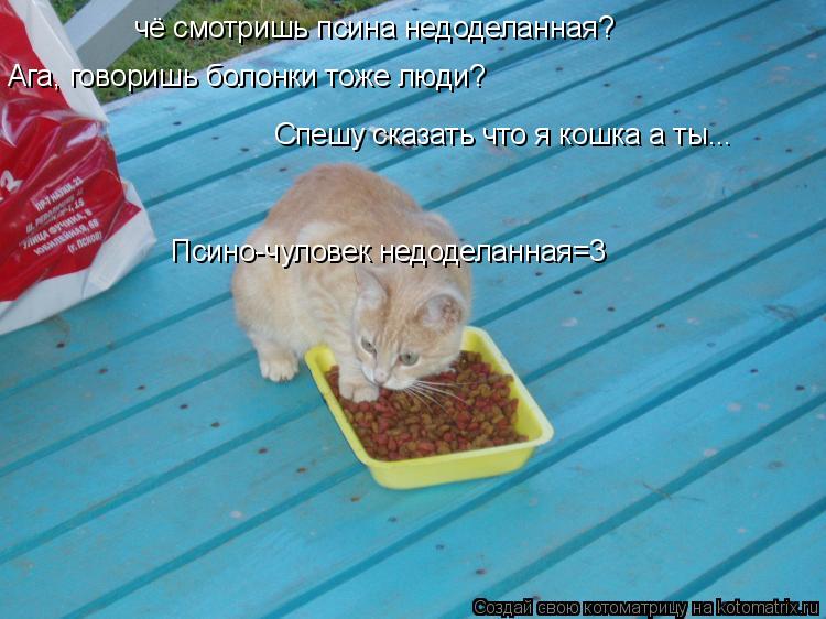 чё смотришь псина недоделанная? Ага, говоришь болонки тоже люди? Спешу сказать что я кошка а ты... Пс... Котоматрица: чё смотришь псина недоделанная? Ага, говоришь болонки тоже люди? Спешу сказать что я кошка а ты... Псино-чуловек недоделанная=3