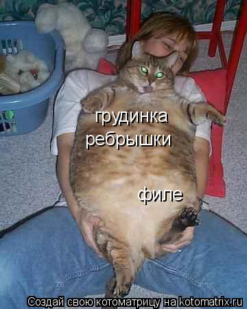 Котоматрица: ребрышки филе грудинка грудинка