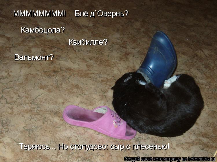 Котоматрица: ММММММММ!    Блё д`Овернь?  Камбоцола?  Квибилле? Вальмонт? Теряюсь... Но стопудово: сыр с плесенью!