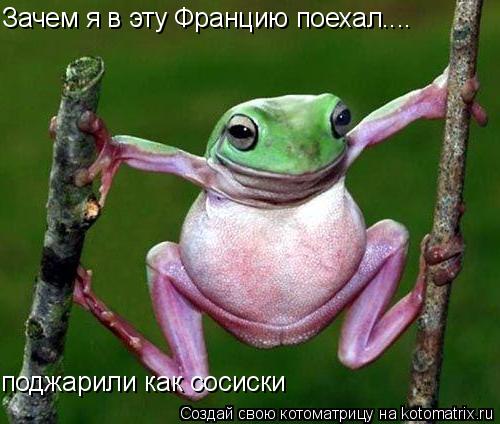 Котоматрица: Зачем я в эту Францию поехал.... поджарили как сосиски