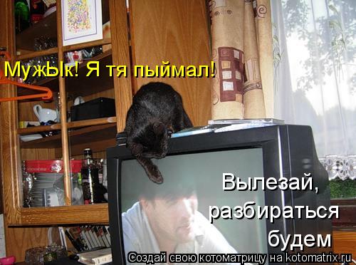 Котоматрица: МужЫк! Я тя пыймал!  Вылезай, разбираться  будем