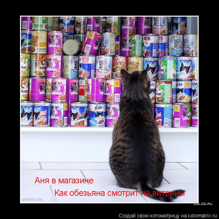 Котоматрица: Аня в магазине Как обезьяна смотрит на витрины