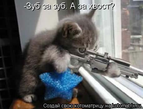 Котоматрица: -Зуб за зуб. А за хвост?