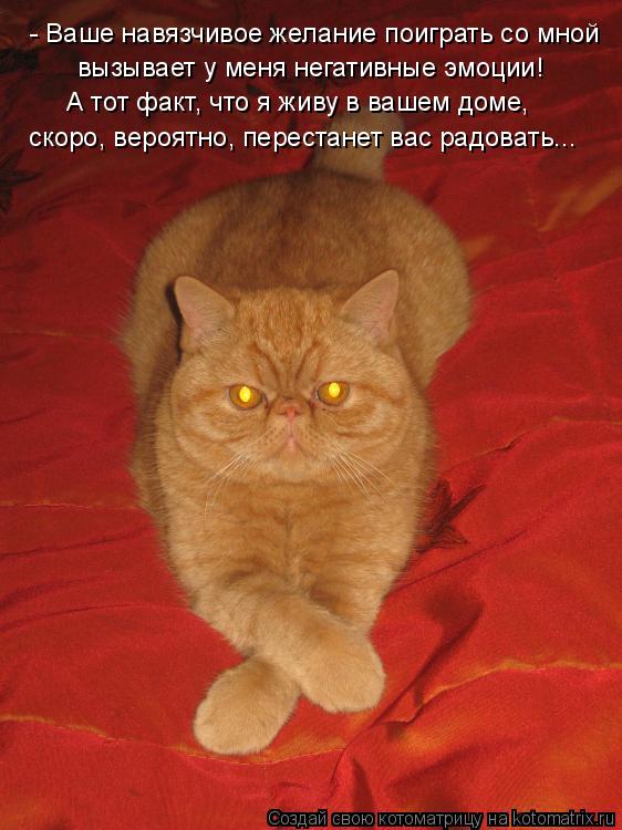 Котоматрица: - Ваше навязчивое желание поиграть со мной вызывает у меня негативные эмоции! А тот факт, что я живу в вашем доме, скоро, вероятно, перестанет