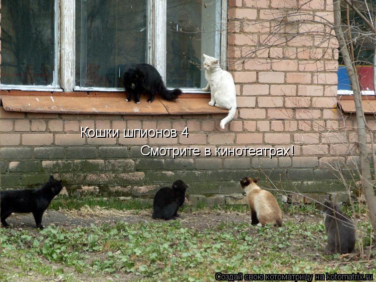 Кошки шпионов 4 Смотрите в кинотеатрах!... Котоматрица: Кошки шпионов 4 Смотрите в кинотеатрах!