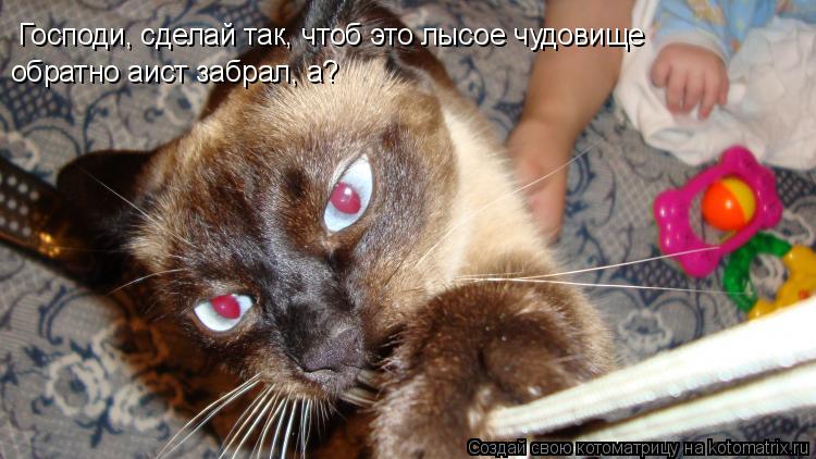 Котоматрица: Господи, сделай так, чтоб это лысое чудовище обратно аист забрал, а? Господи, сделай так, чтоб это лысое чудовище обратно аист забрал, а?