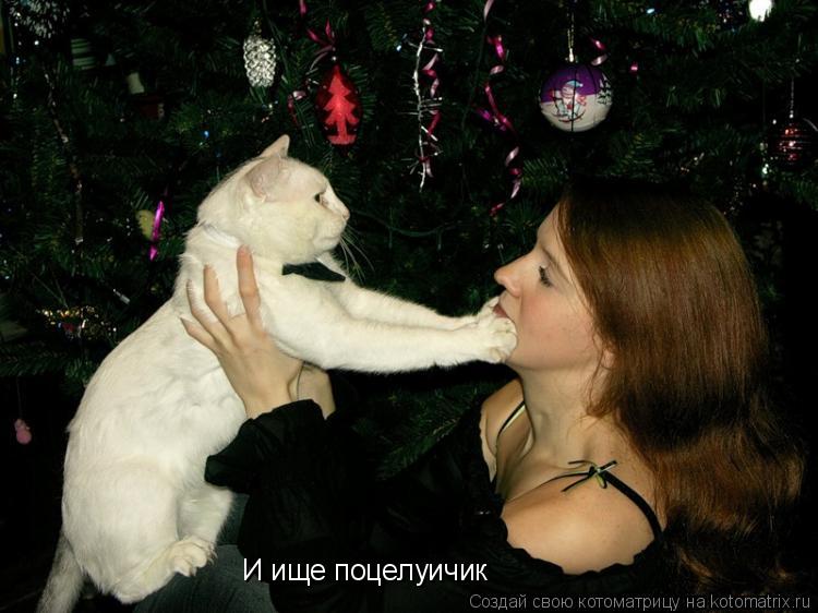 Котоматрица: И ище поцелуичик