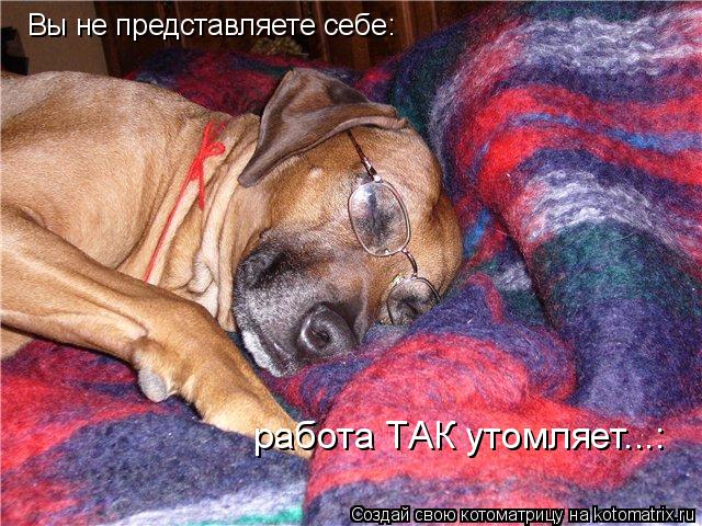 Котоматрица: Вы не представляете себе: работа ТАК утомляет...:
