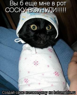 Котоматрица: Вы б еще мне в рот СОСКУ ВСУНУЛИ!!!!!