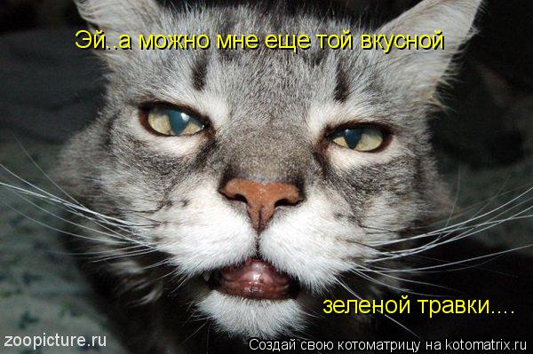 Котоматрица: Эй..а можно мне еще той вкусной зеленой травки....