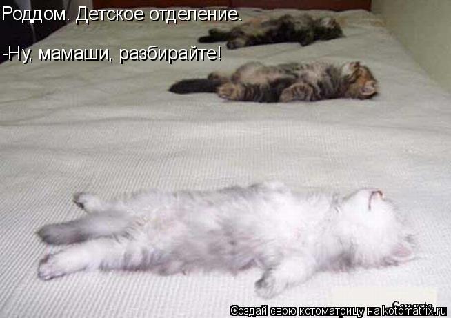 Котоматрица: Роддом. Детское отделение. -Ну, мамаши, разбирайте!