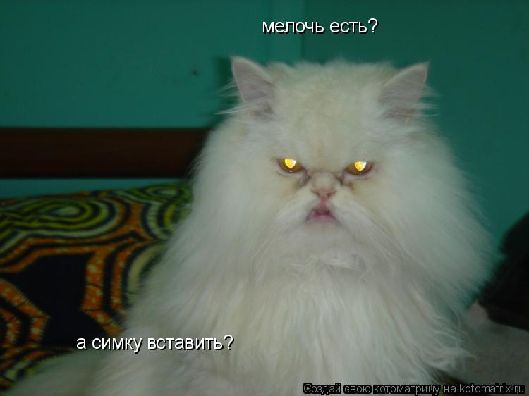 Котоматрица: мелочь есть? а симку вставить?