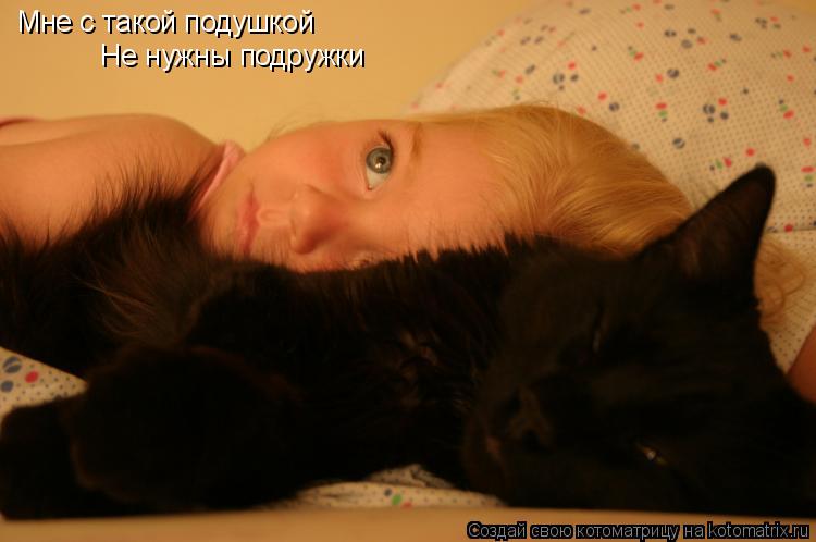 Котоматрица: Мне с такой подушкой Не нужны подружки