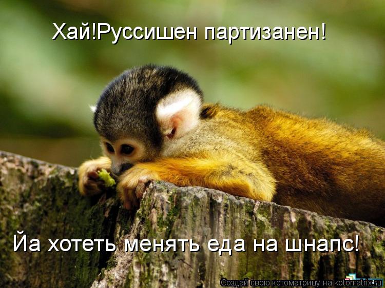 Хай!Руссишен партизанен! Йа хотеть менять еда на шнапс!... Котоматрица: Хай!Руссишен партизанен! Йа хотеть менять еда на шнапс!