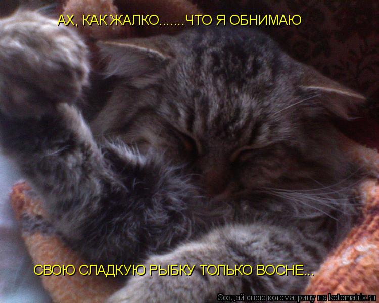 Котоматрица: АХ, КАК ЖАЛКО.......ЧТО Я ОБНИМАЮ  СВОЮ СЛАДКУЮ РЫБКУ ТОЛЬКО ВОСНЕ...