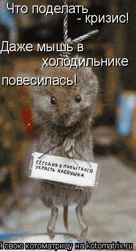 Котоматрица: Что поделать  - кризис! Даже мышь в холодильнике повесилась!