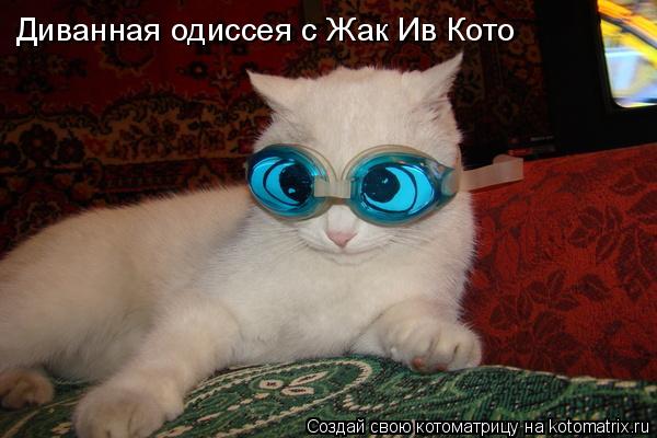 Котоматрица: Диванная одиссея с Жак Ив Кото
