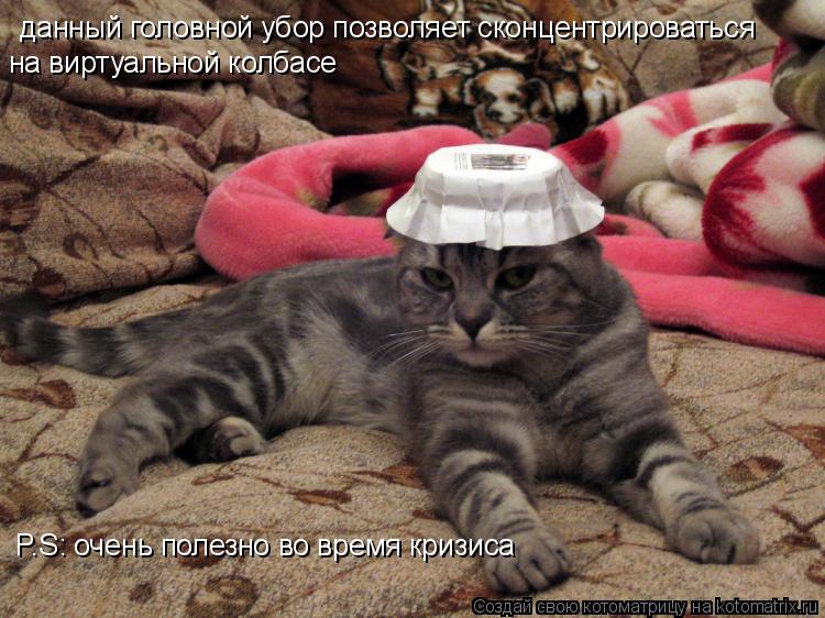 Котоматрица: данный головной убор позволяет сконцентрироваться на виртуальной колбасе P.S: очень полезно во время кризиса