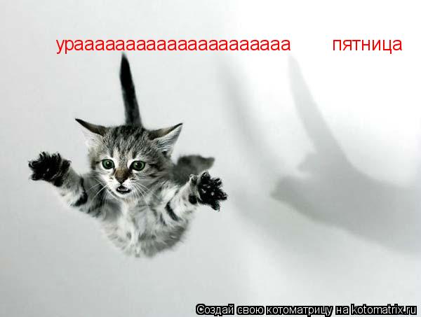 Котоматрица: урааааааааааааааааааааа        пятница